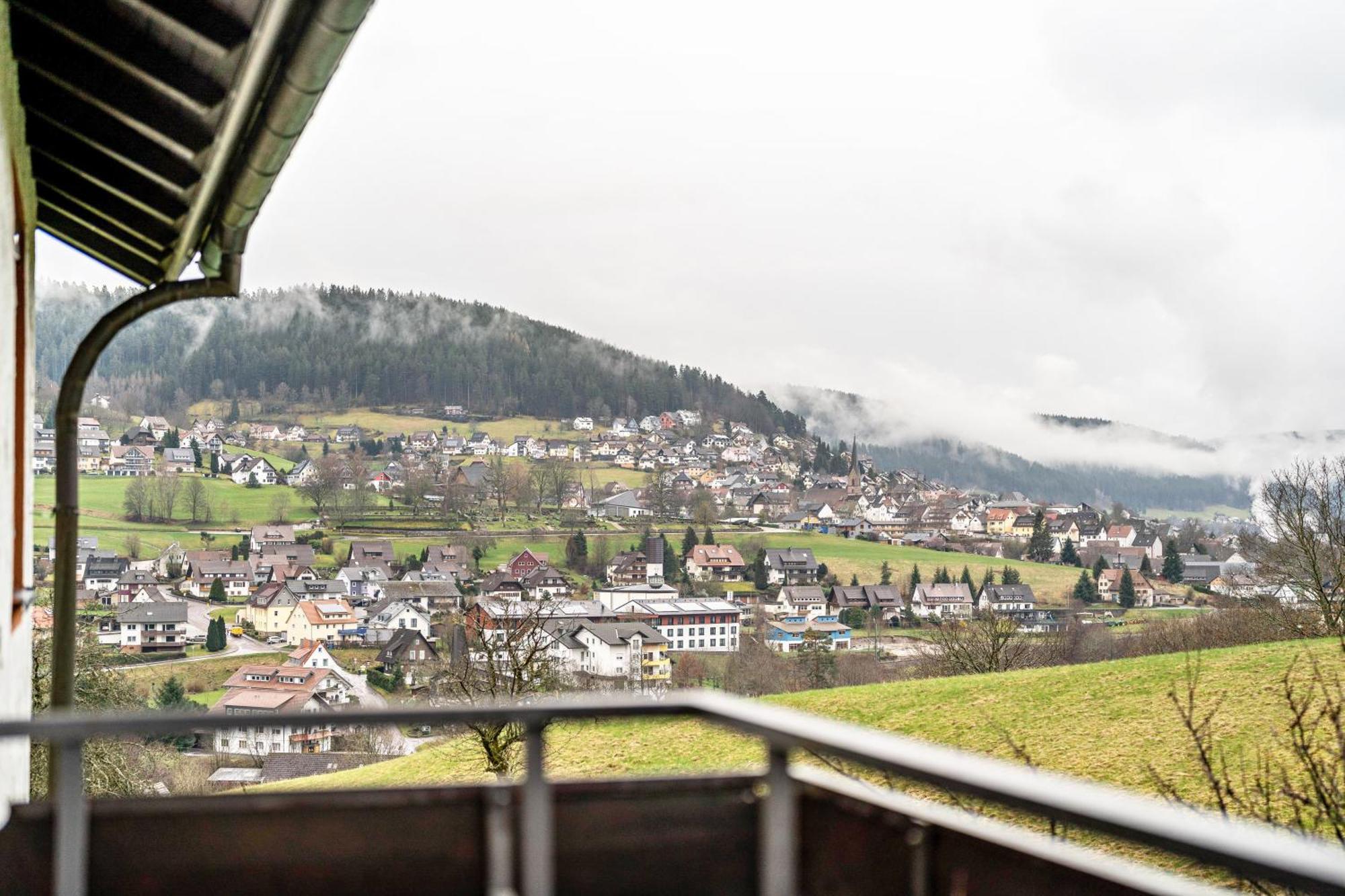 Apartmán Fewo Panorama - Haus Sommerberg Baiersbronn Exteriér fotografie