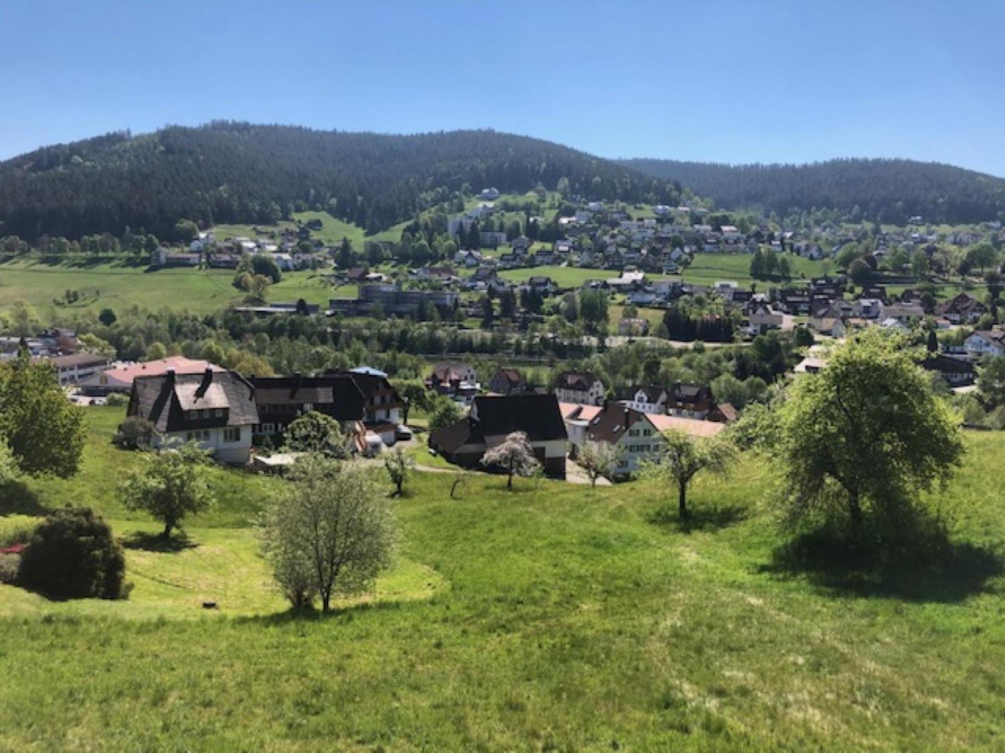 Apartmán Fewo Panorama - Haus Sommerberg Baiersbronn Exteriér fotografie