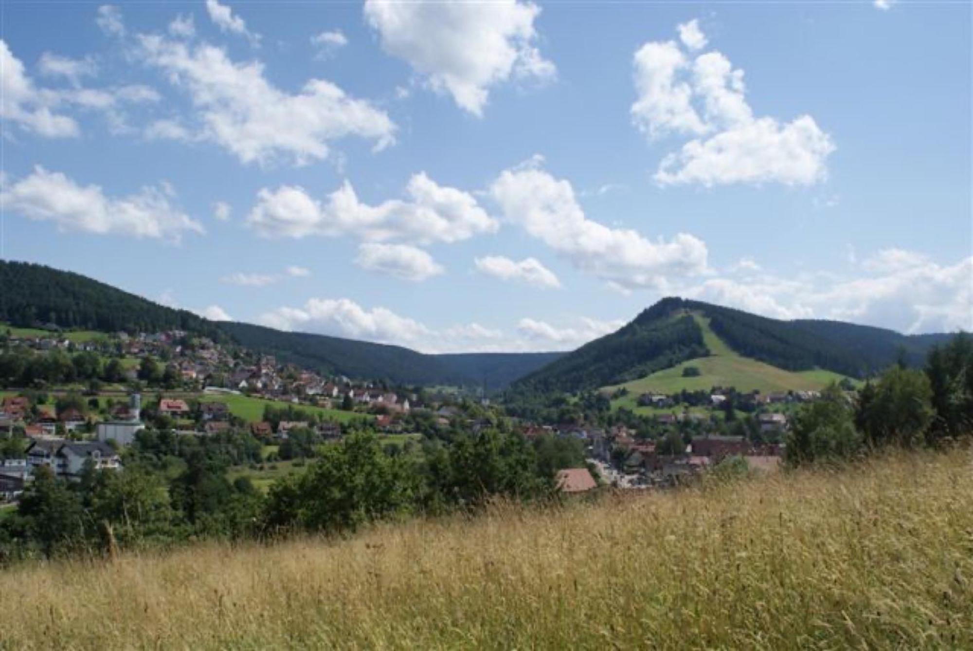 Apartmán Fewo Panorama - Haus Sommerberg Baiersbronn Exteriér fotografie